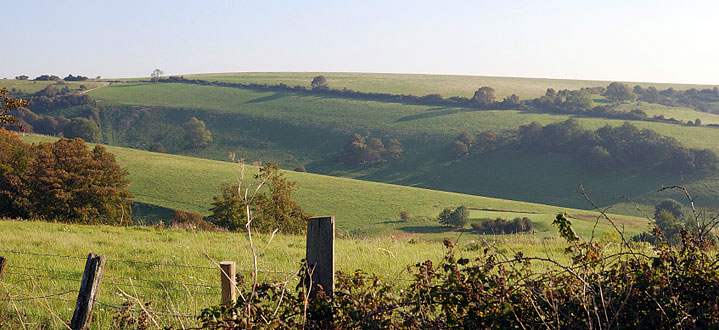 Oakfield Farm East Sussex